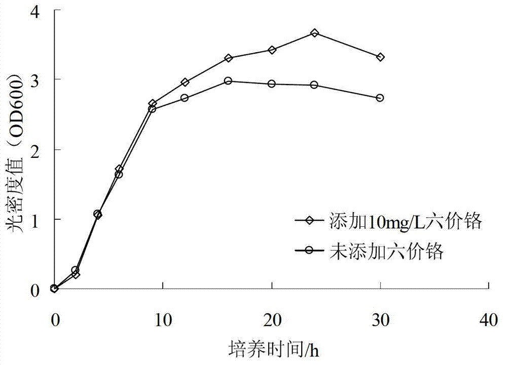 Application of Lysinibacillus sp Cr-6