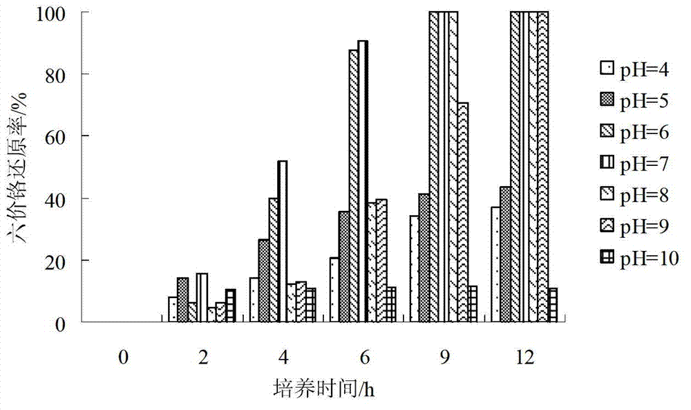 Application of Lysinibacillus sp Cr-6