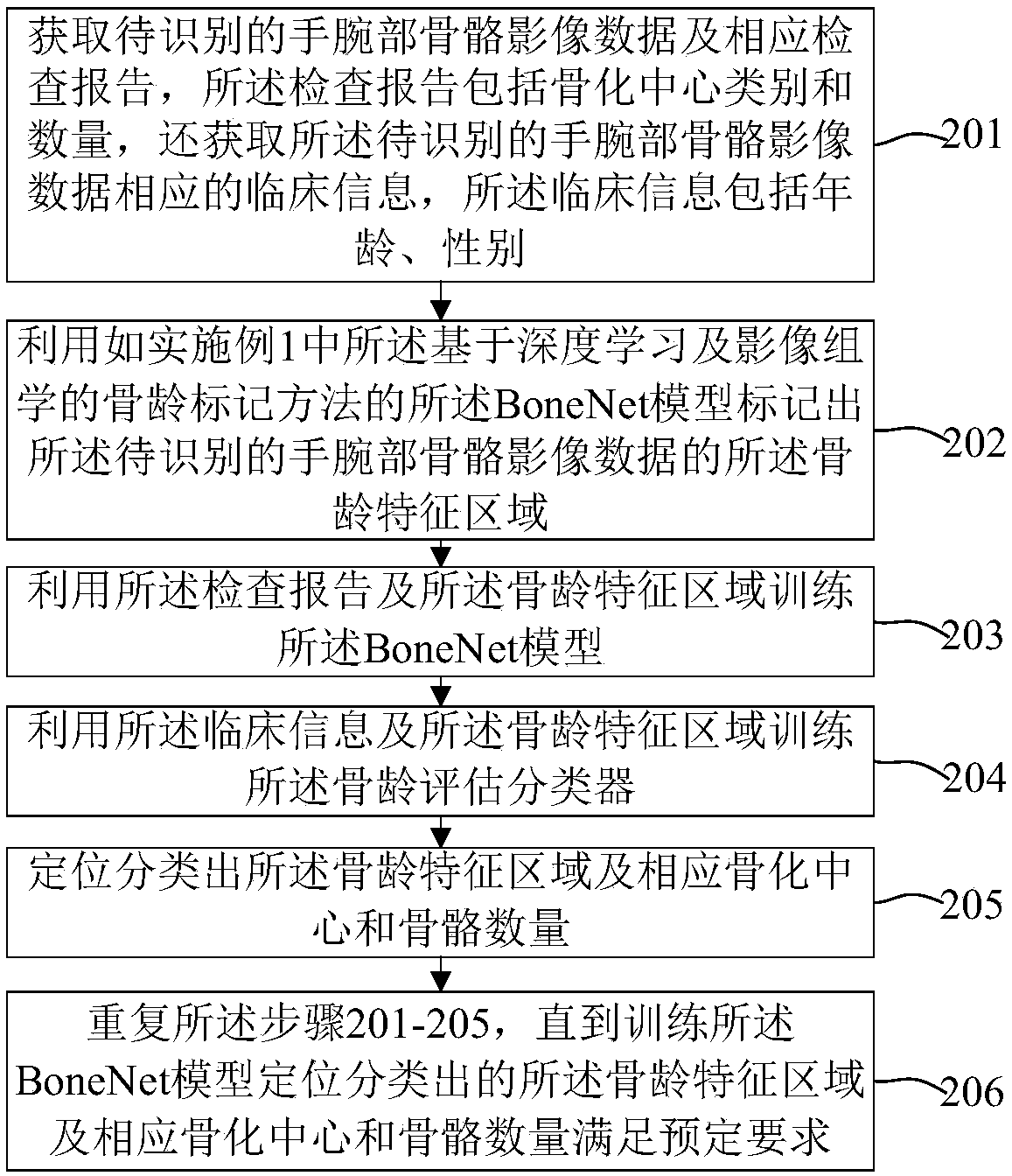 Bone age mark identification assessment method and system based on deep learning and image omics