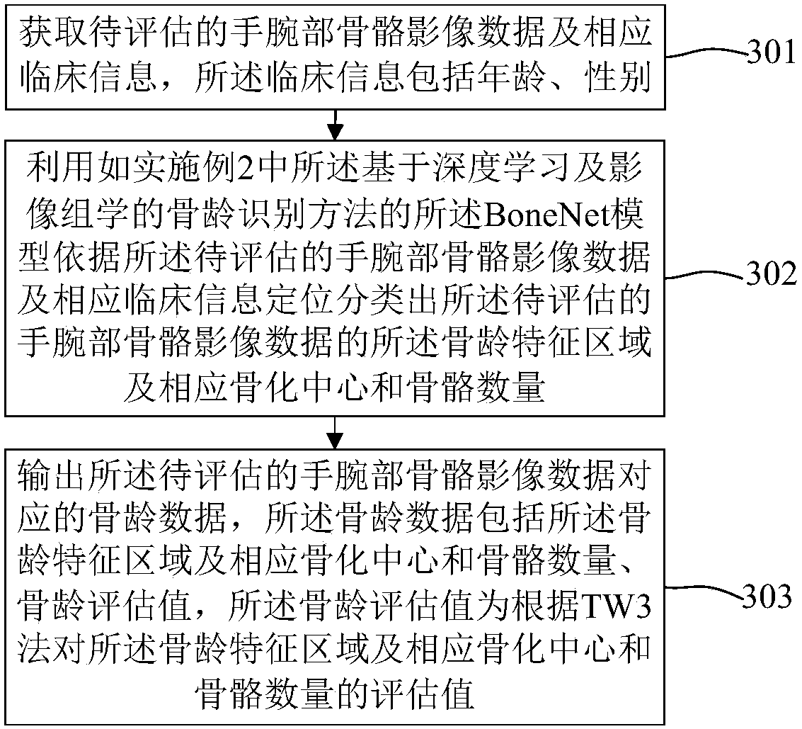 Bone age mark identification assessment method and system based on deep learning and image omics