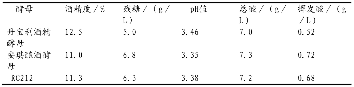 Preparation method of cistanche fermented wine and low-alcohol wine prepared by using cistanche fermented wine