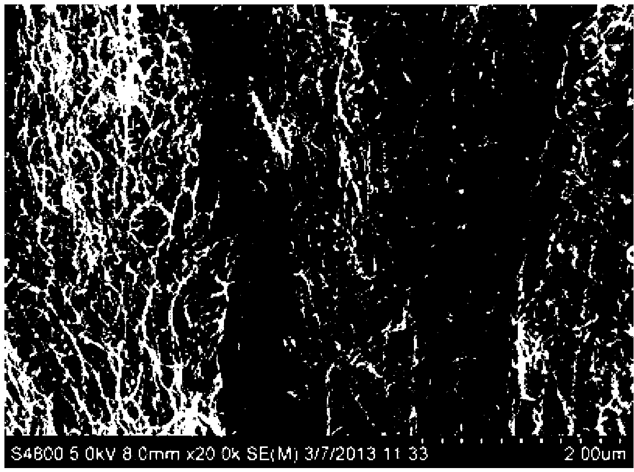 High-dielectric elastomer composite material with low content of carbon nanometer tubes and preparation method of composite material