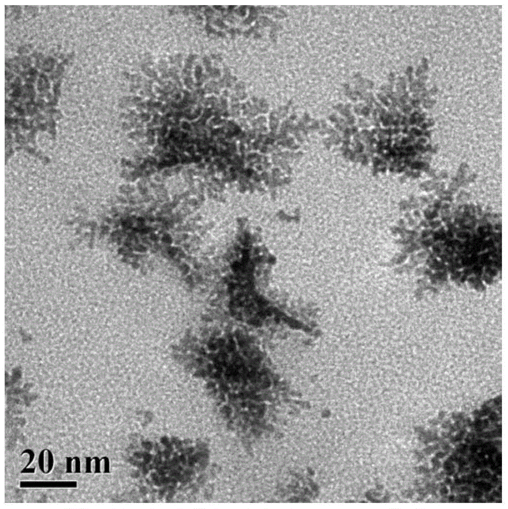 Graphene supported two-dimensional branched platinum nanometer electrocatalyst, and preparation method and application thereof