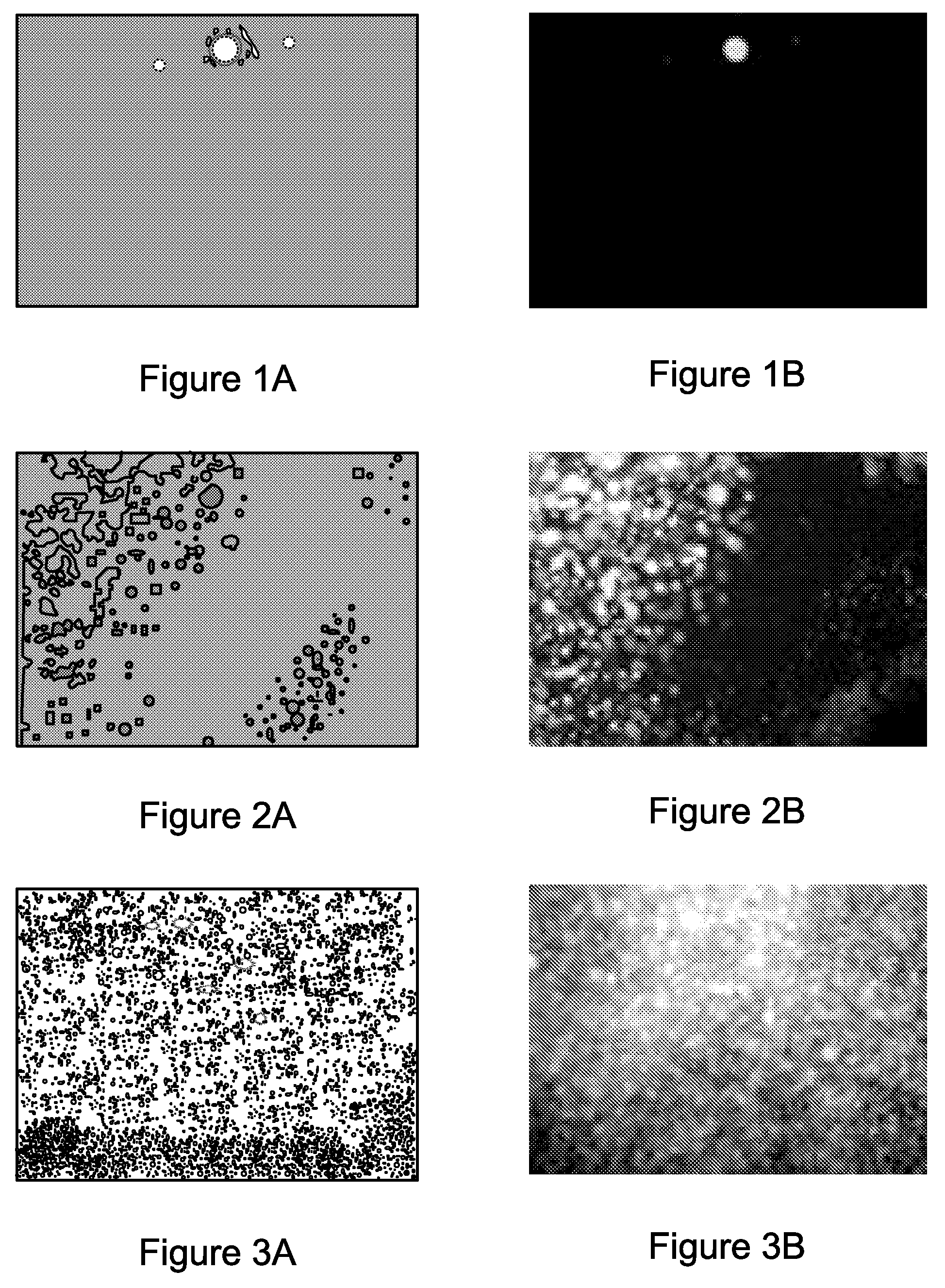 Detection and Correction of Flash Artifacts from Airborne Particulates