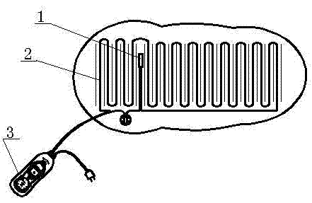 A temperature-controllable electric heating shoe