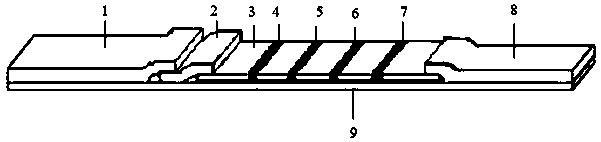 Inflammatory marker POCT joint detection kit