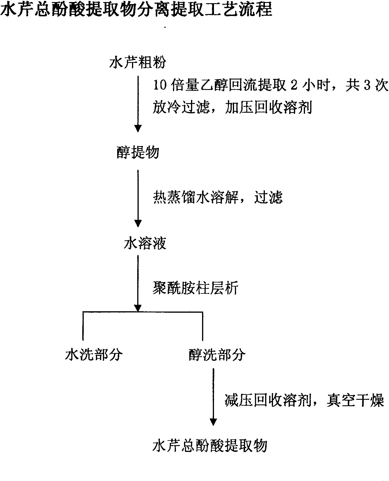 Water fennel total phenolic acid preparing process, and medicinal preparation using same as active component and use