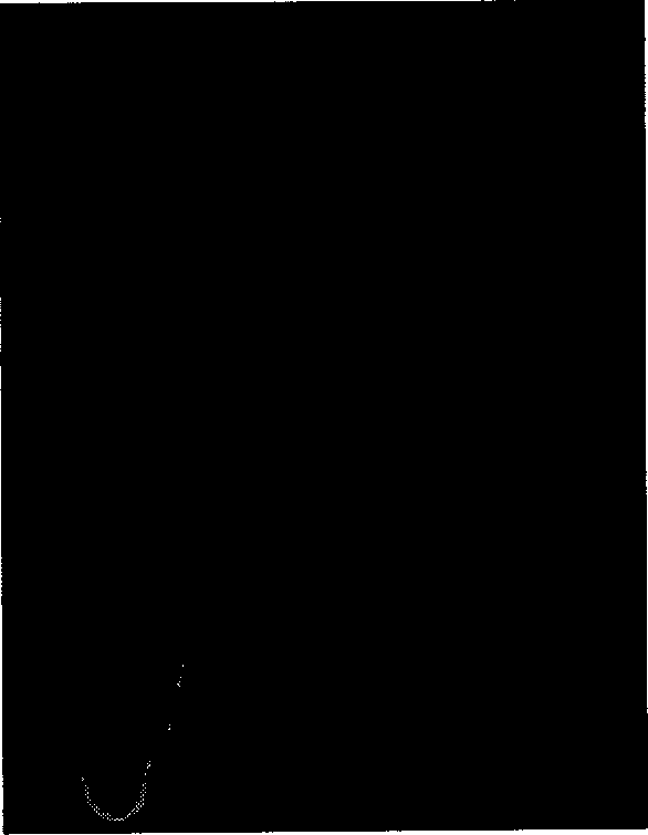 Method for detecting gymnosperm pollen in-tube antigen