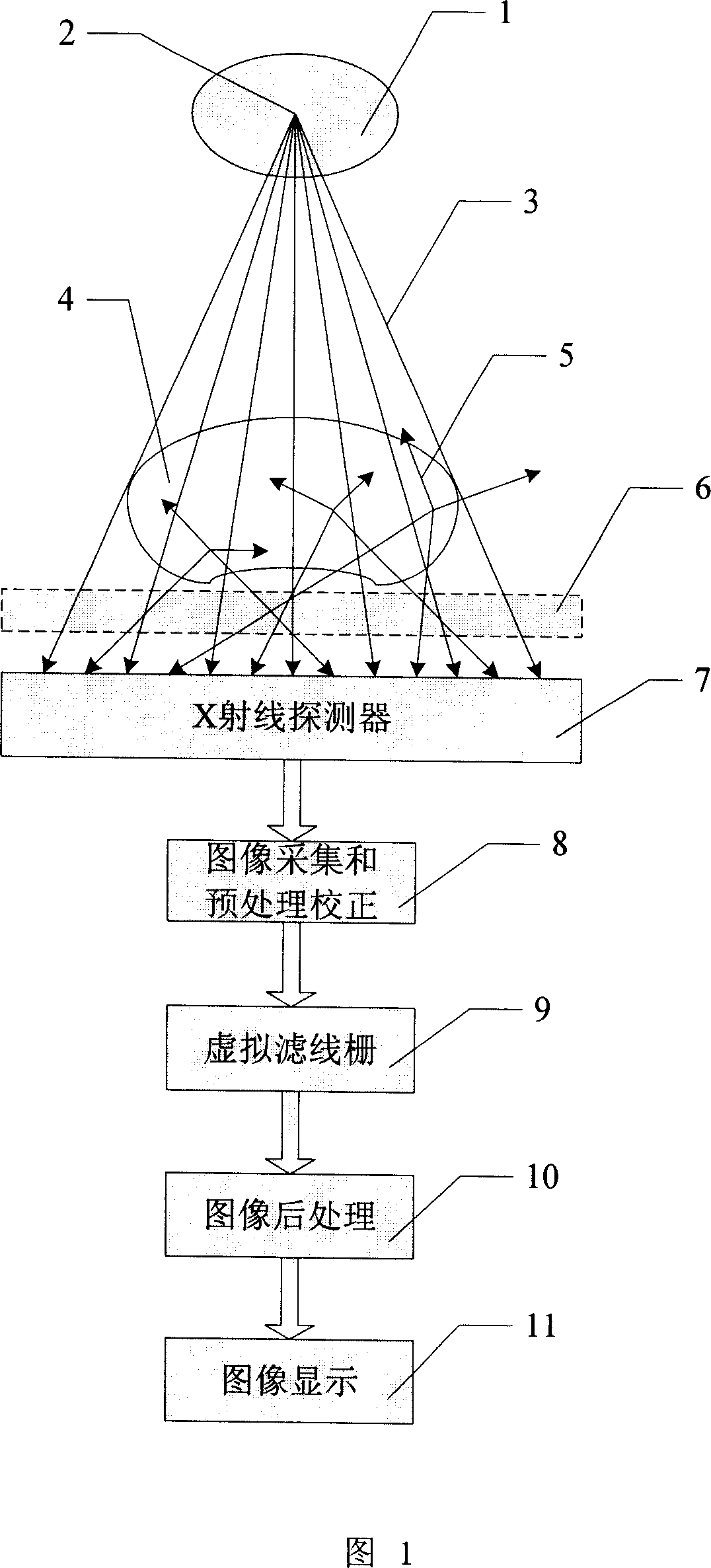 Virtual grid imaging method and system used for eliminating influence of scattered radiation