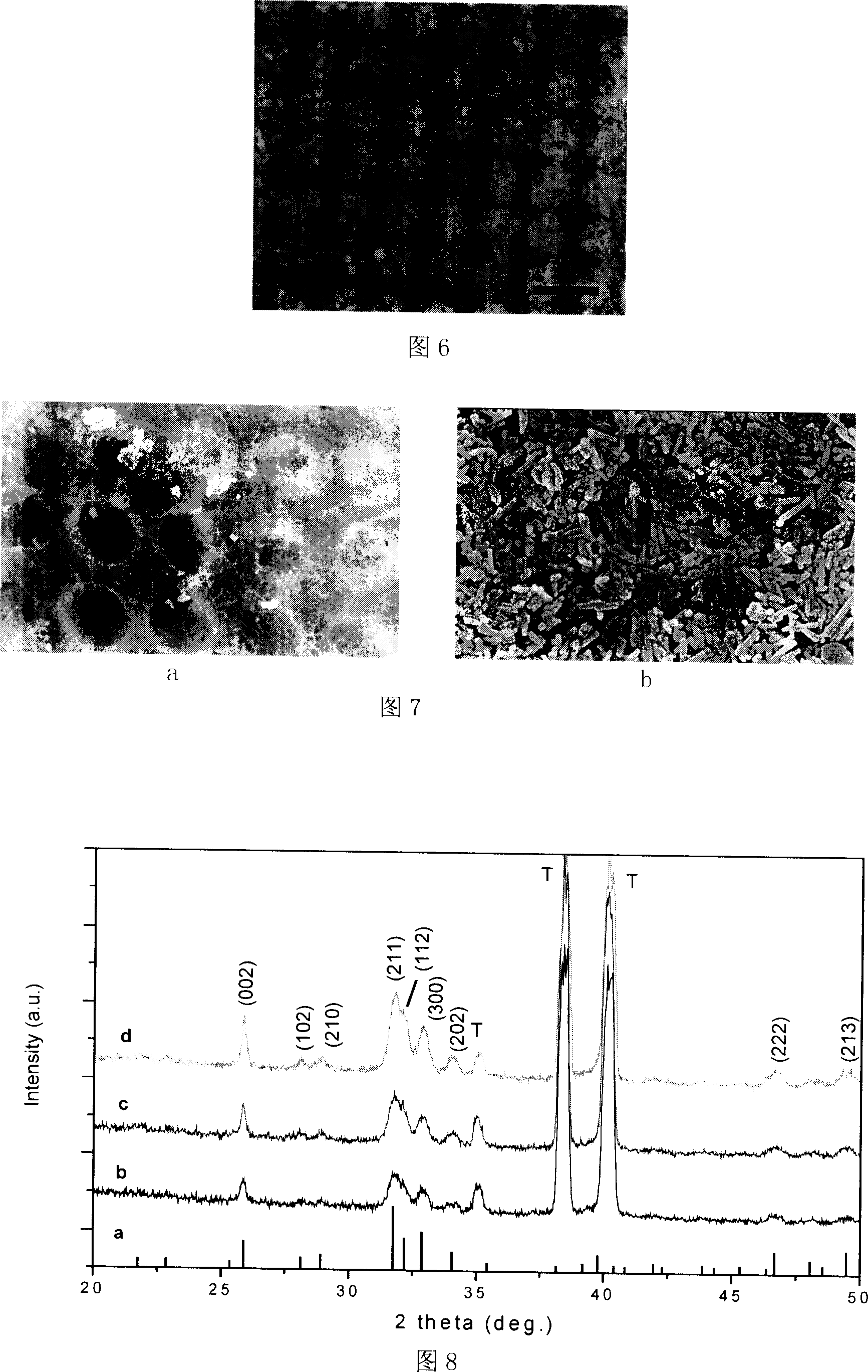 Preparation method of nanometer ordered structure biomaterial membranous layer based on super hydro philic/hydro phobic characteristic template