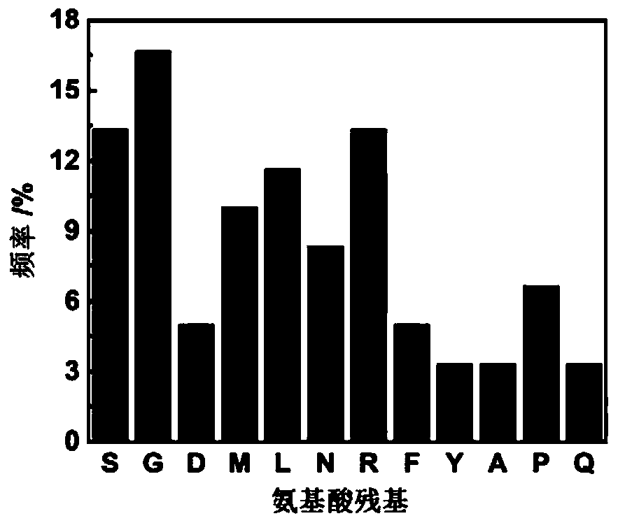 Specific binding peptide of polycaprolactone nanoparticles as well as screening method and application thereof