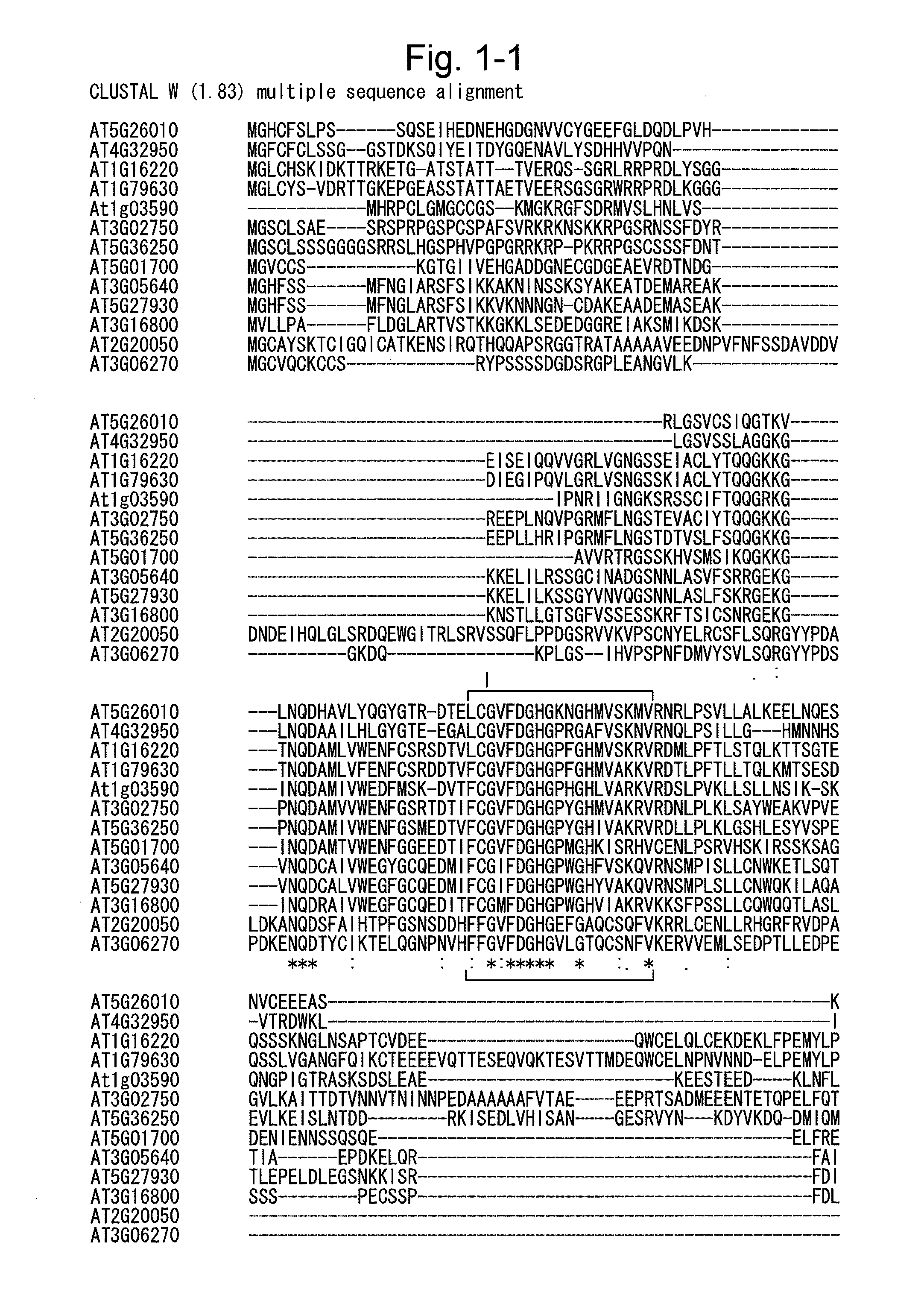 Gene for increasing the production of plant biomass and/or seeds and method for use thereof