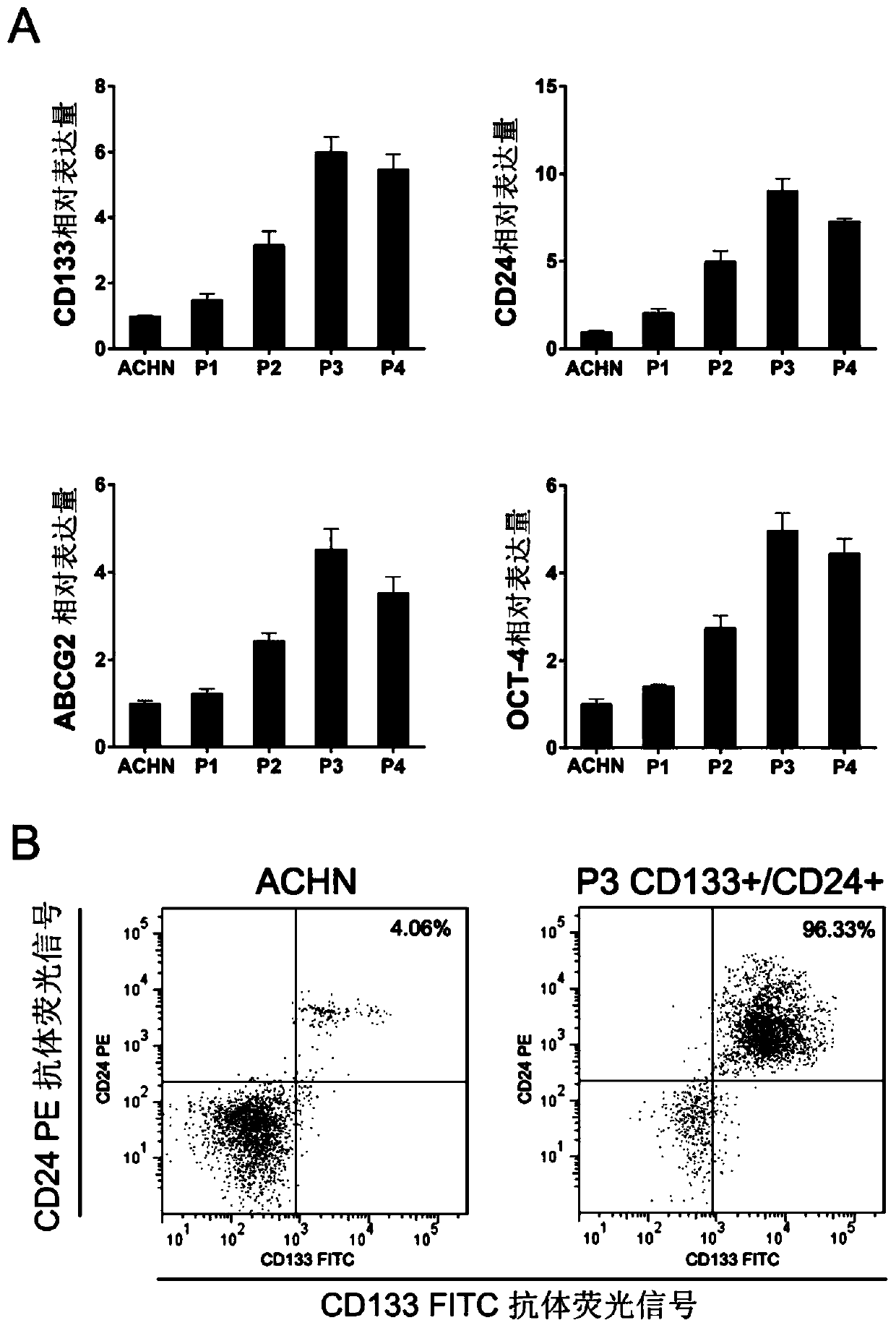 Enrichment and Screening Methods of Cancer Stem Cells