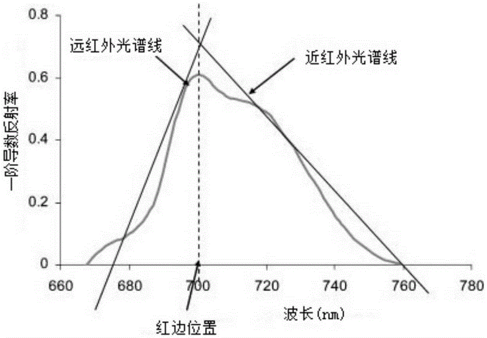 Hyperspectral remote sensing data vegetation information extraction method