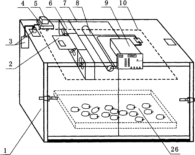 Intelligent red date drying equipment