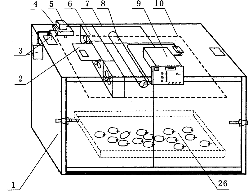 Intelligent red date drying equipment