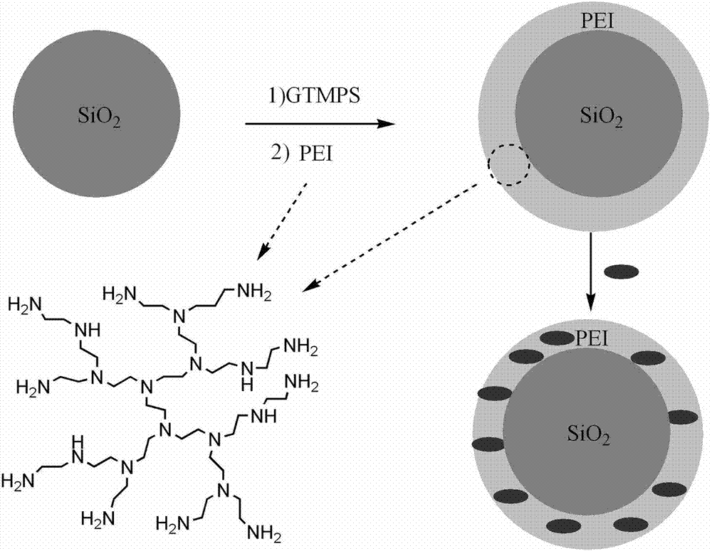 Silica supported polyamine water treatment agent, application thereof and preparation method