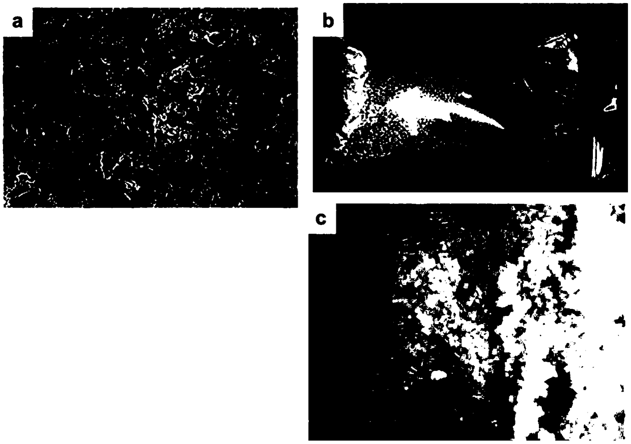 Composite material, its manufacture and use in gas purification