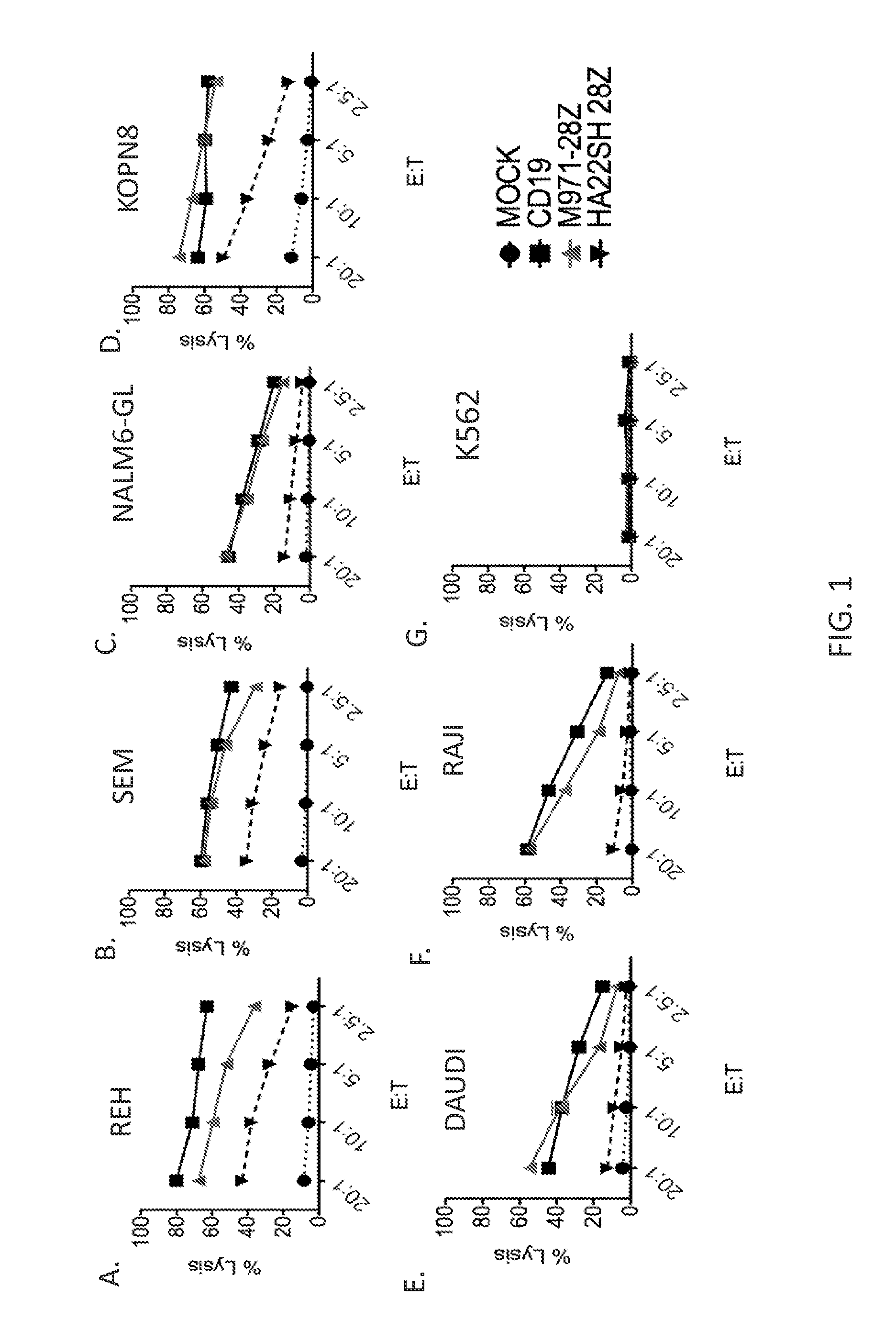 M971 chimeric antigen receptors