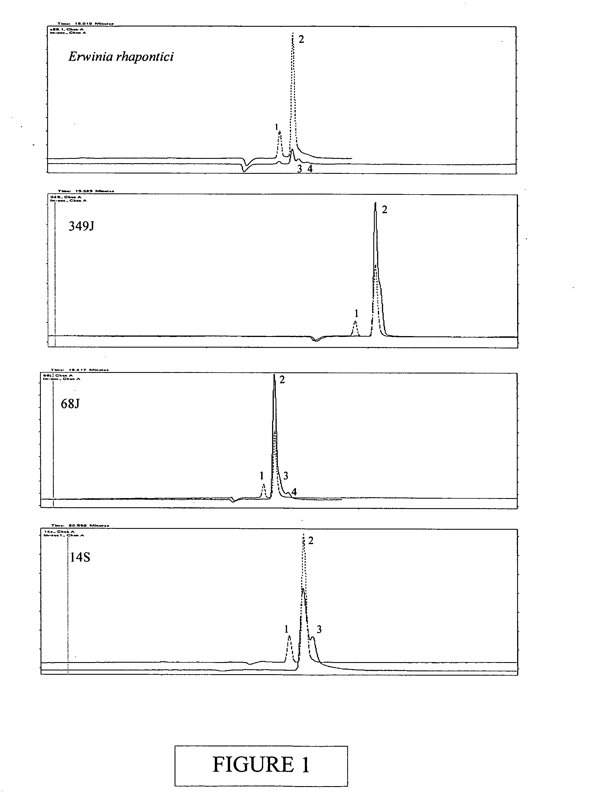 Isomaltulose synthases, polynucleotides encoding them and uses therefor