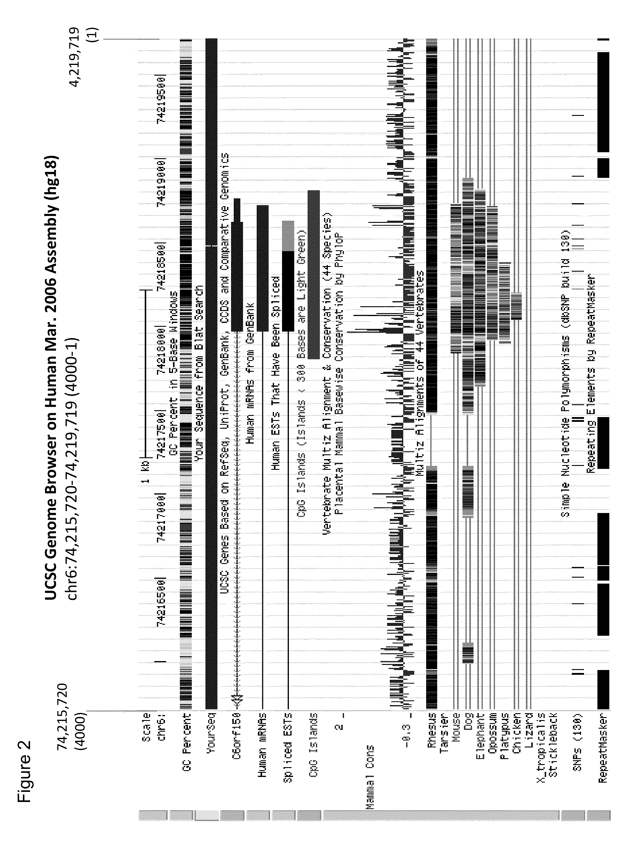 Aberrant methylation of C6Orf150 DNA sequences in human colorectal cancer