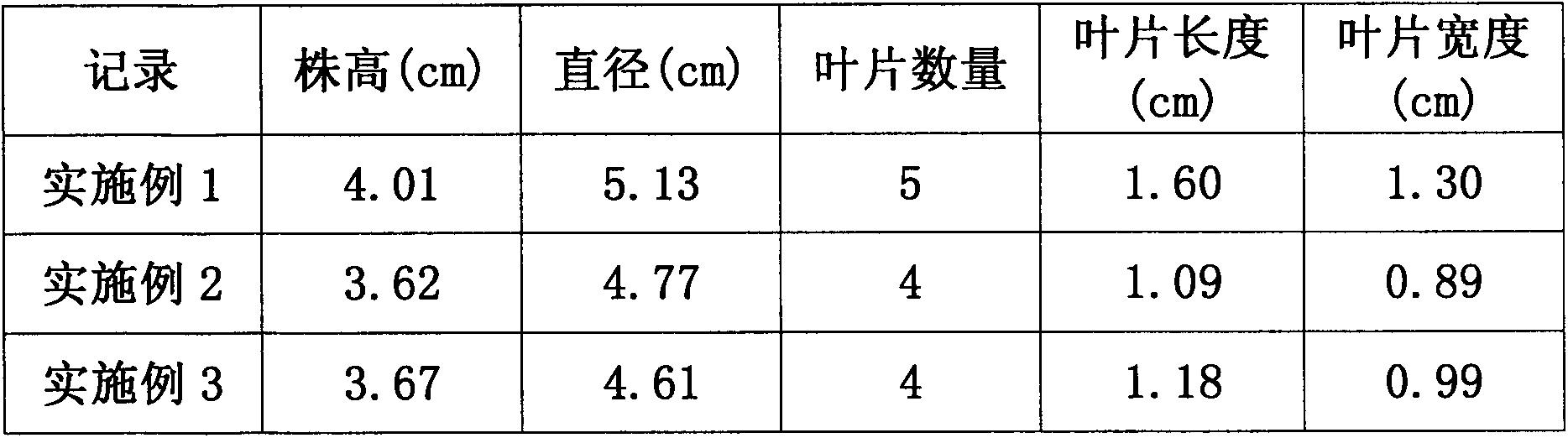 Strawberry water culture nutrient solution