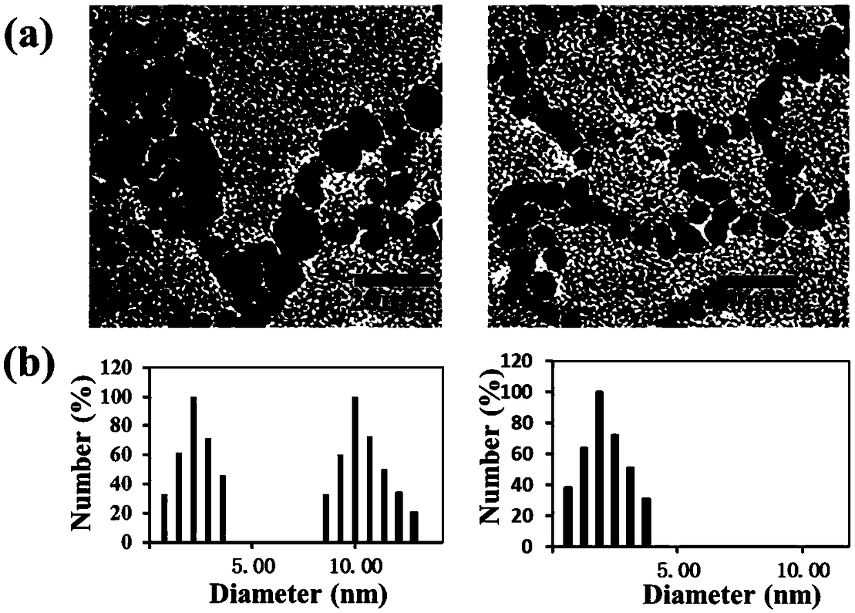 Preparation method of polymeric micelle nanofiltration membrane and application thereof