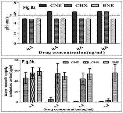 A kind of antibacterial chlorhexidine acetate nanoemulsion mouthwash and preparation method thereof