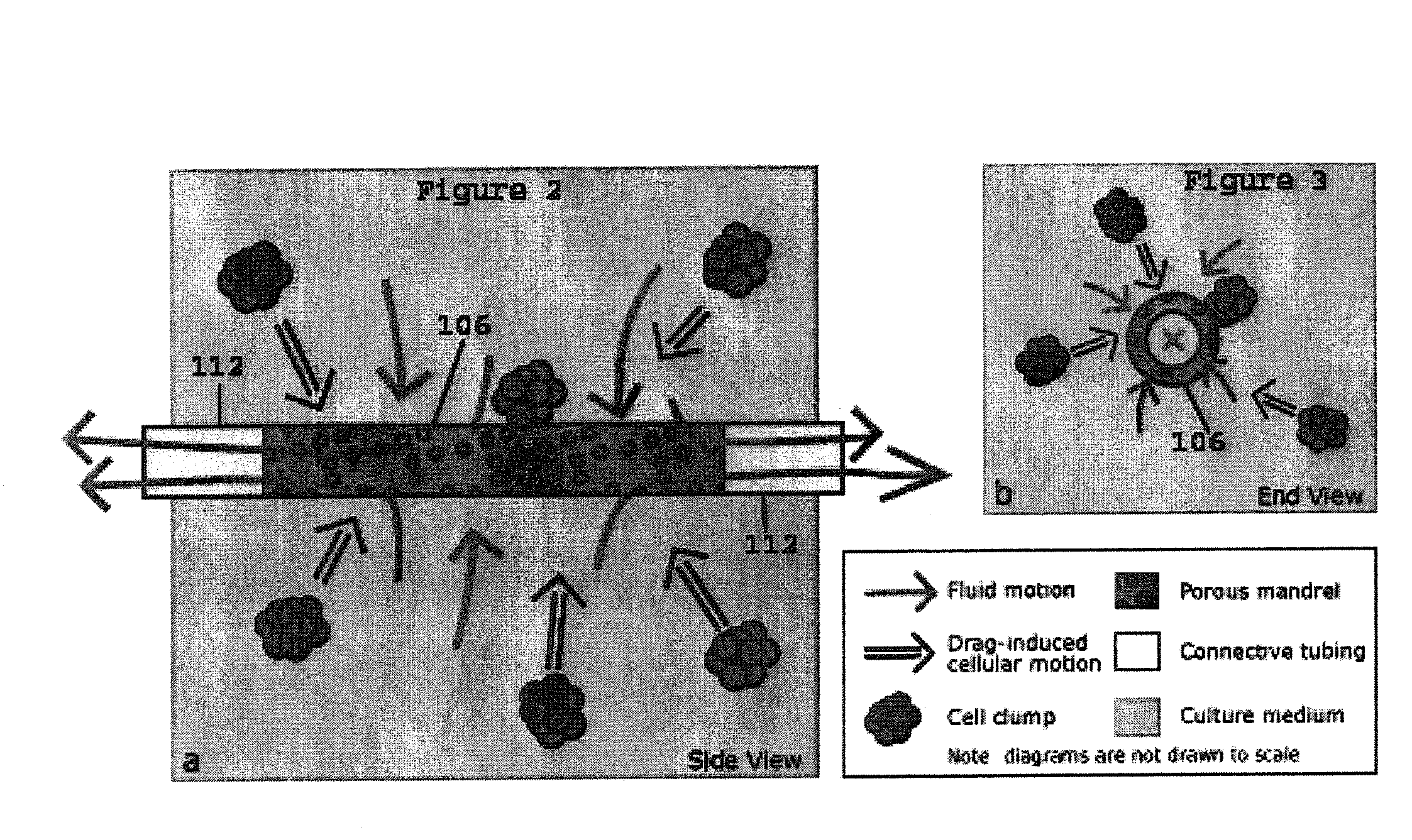 Convective flow tissue assembly