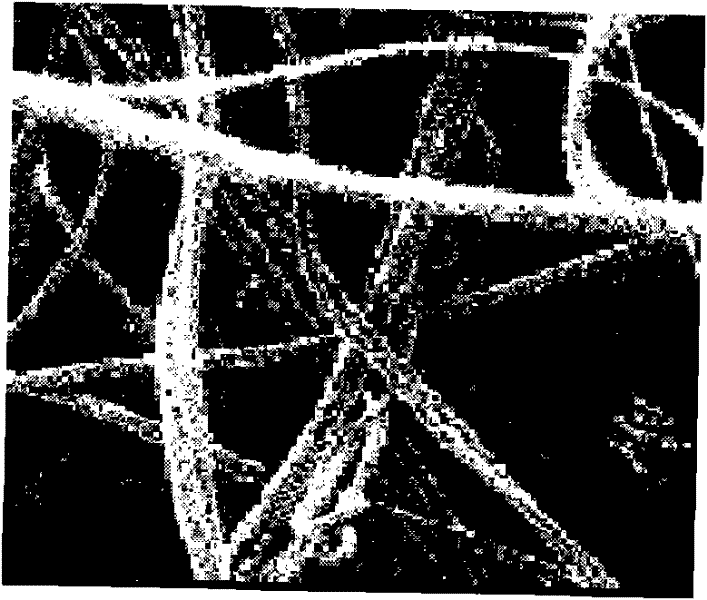 Fully-degradable polylactic acid fiber melt-blowing nonwoven fabric and preparation method thereof