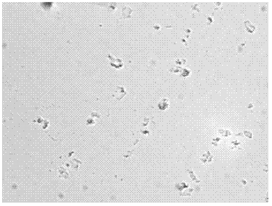 Nanometer preparation of strong rooting agent, preparation method and application thereof