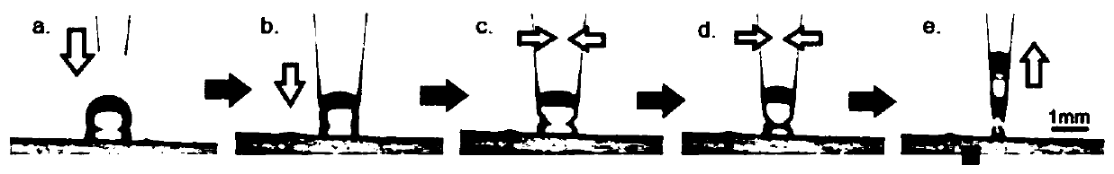 Droplet tweezers and droplet control method