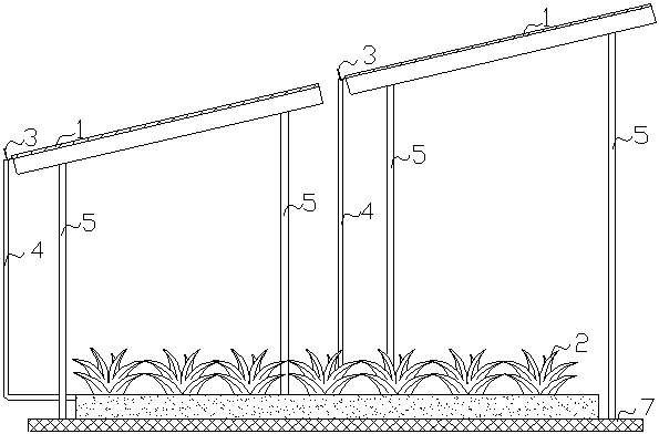 Roof greening and overhead photovoltaic cell panel combined heat insulation system