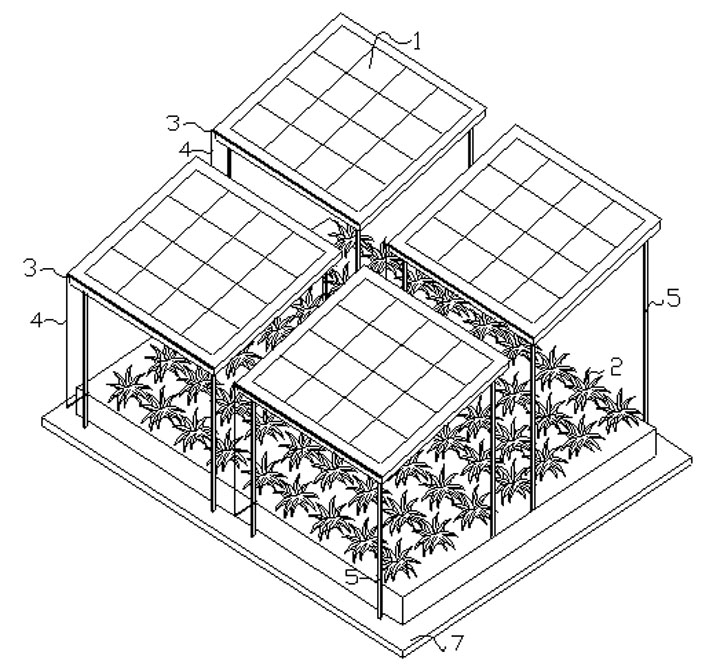 Roof greening and overhead photovoltaic cell panel combined heat insulation system