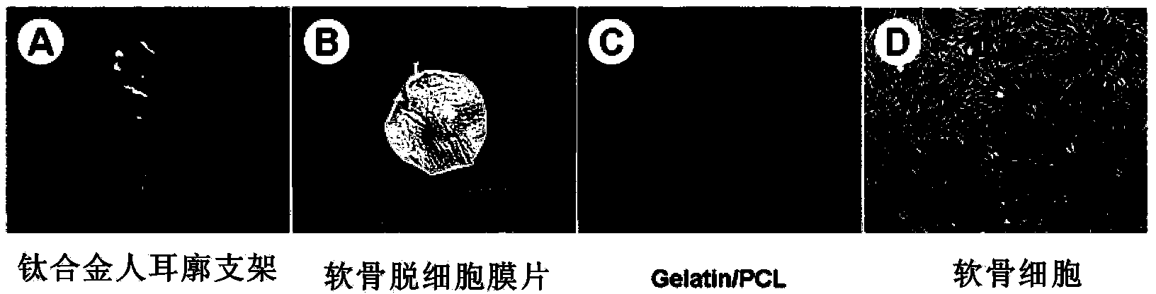 Method for constructing tissue engineering cartilage