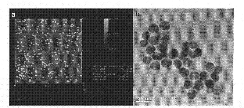 Nano/ALISA method and kit used for rapid detection of Salmonella