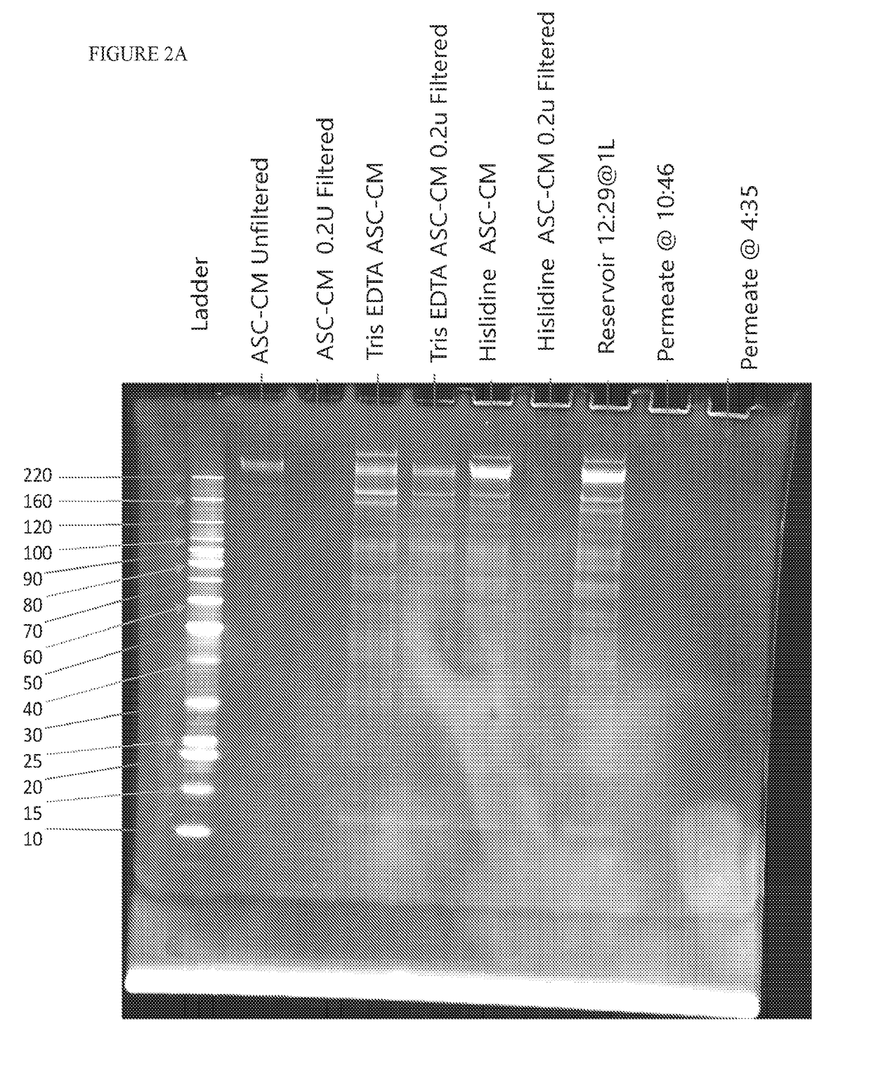 Adipose tissue derived mesenchymal stromal cell conditioned media and methods of making and using the same