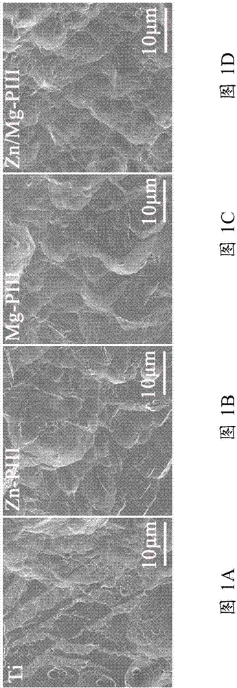 Titanium metal material surface modifying method and modified titanium metal material