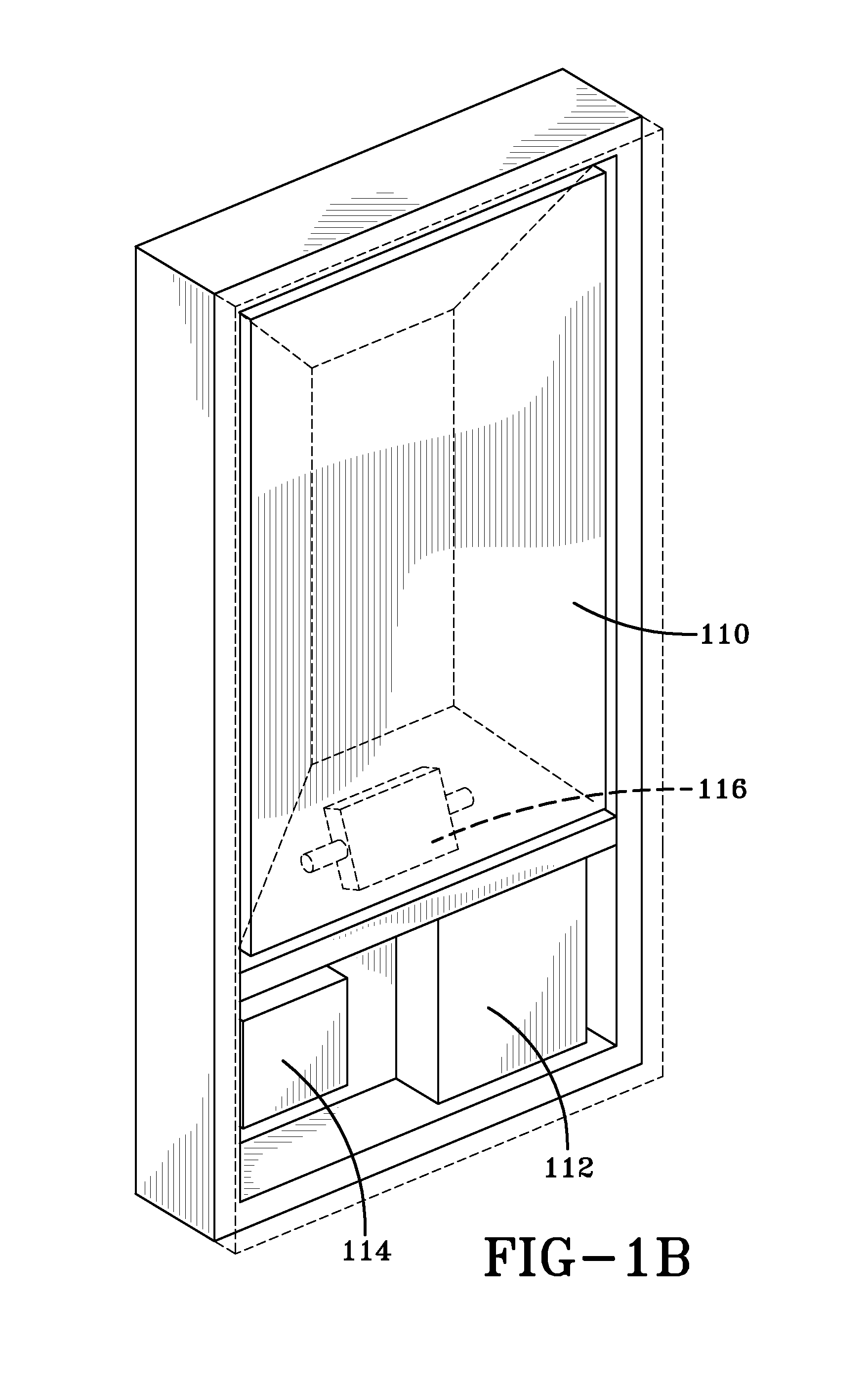 Biometric data display system and method