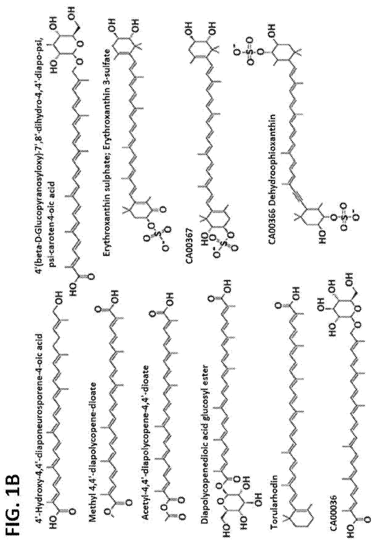 Carotenoid compositions and uses thereof