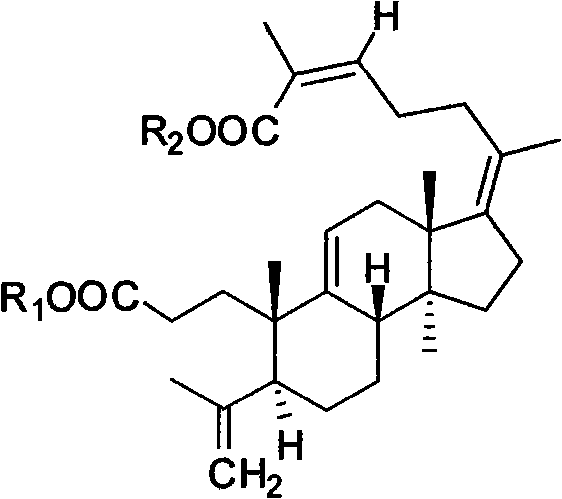 Novel wool gonane compound as well as preparation method and anticancer purpose thereof