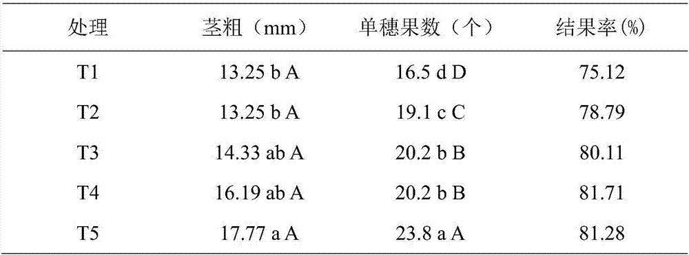 Fermented carbon-based bio-organic fertilizer and preparation method thereof