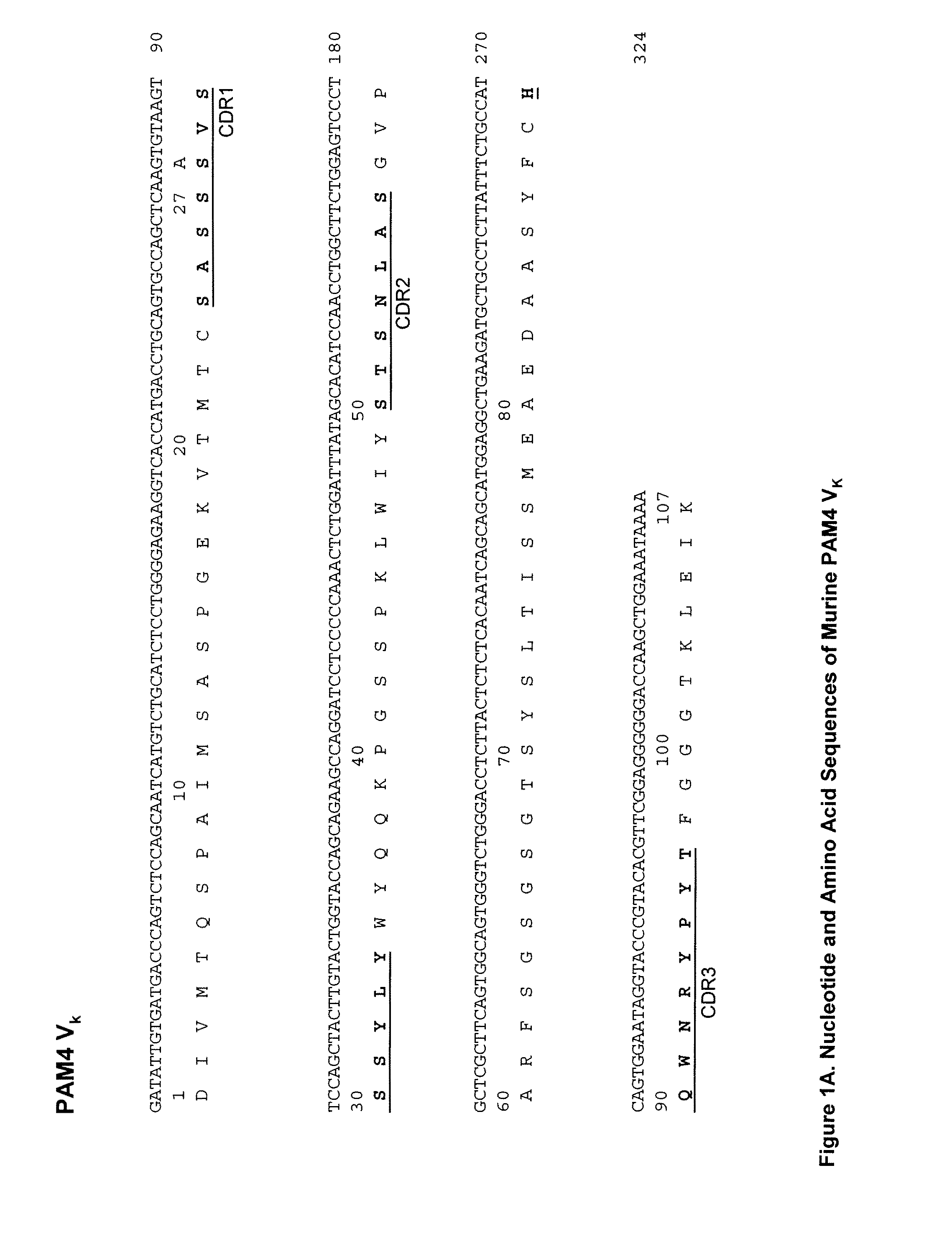 Anti-pancreatic cancer antibodies