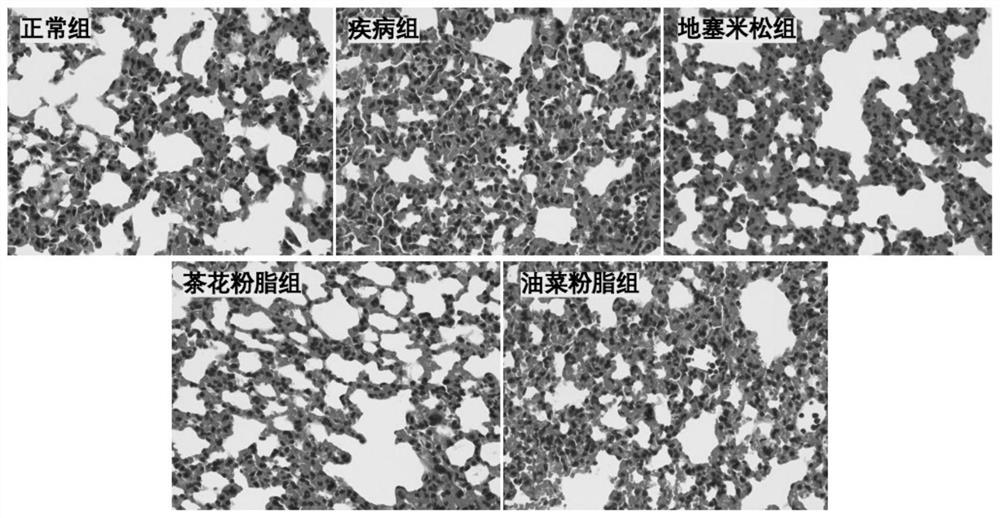 A kind of bee pollen lipid extract and its extraction method and application