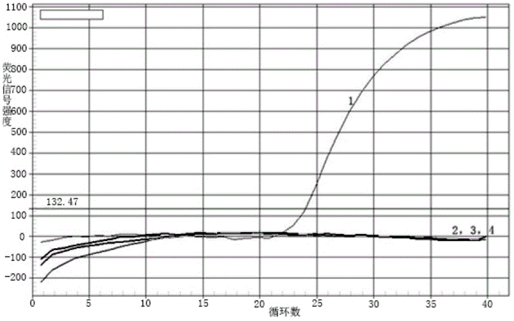 Real-time fluorescent quantitative PCR detection method for apple stem pitting virus