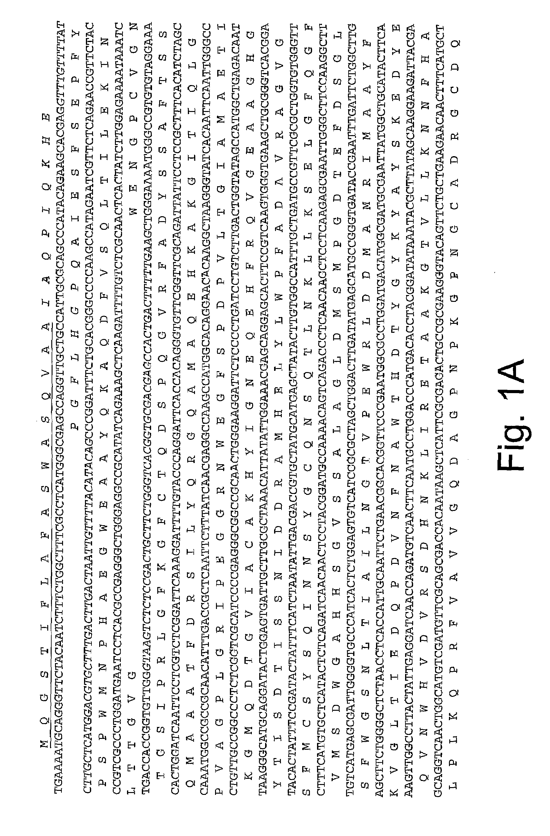 Polypeptides Having Beta-Glucosidase Activity and Polynucleotides Encoding Same