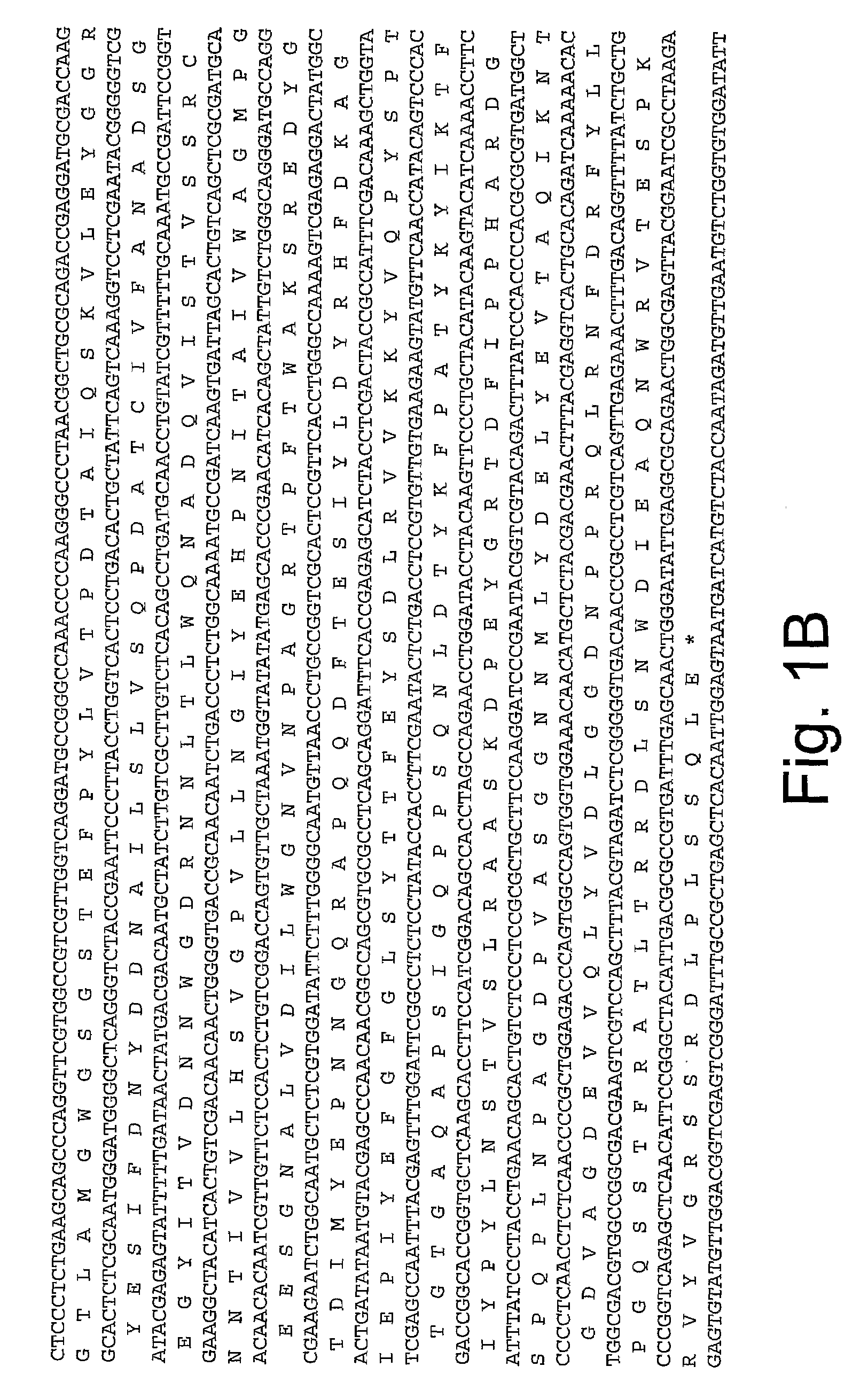 Polypeptides Having Beta-Glucosidase Activity and Polynucleotides Encoding Same