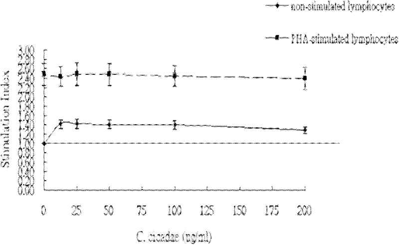 Medium for producing Paecilomyces cicadae spore, culture method thereof, culture product thereof and application thereof