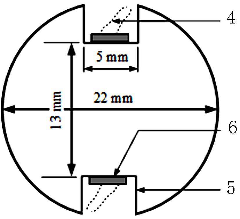 Detection system and method for evaluating damage of rock and cementitious materials