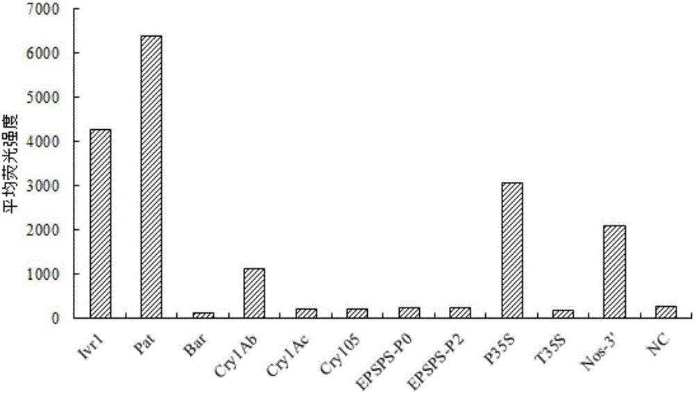 Probe combination, liquid-phase chip and kit for transgenic corn detection, and application thereof